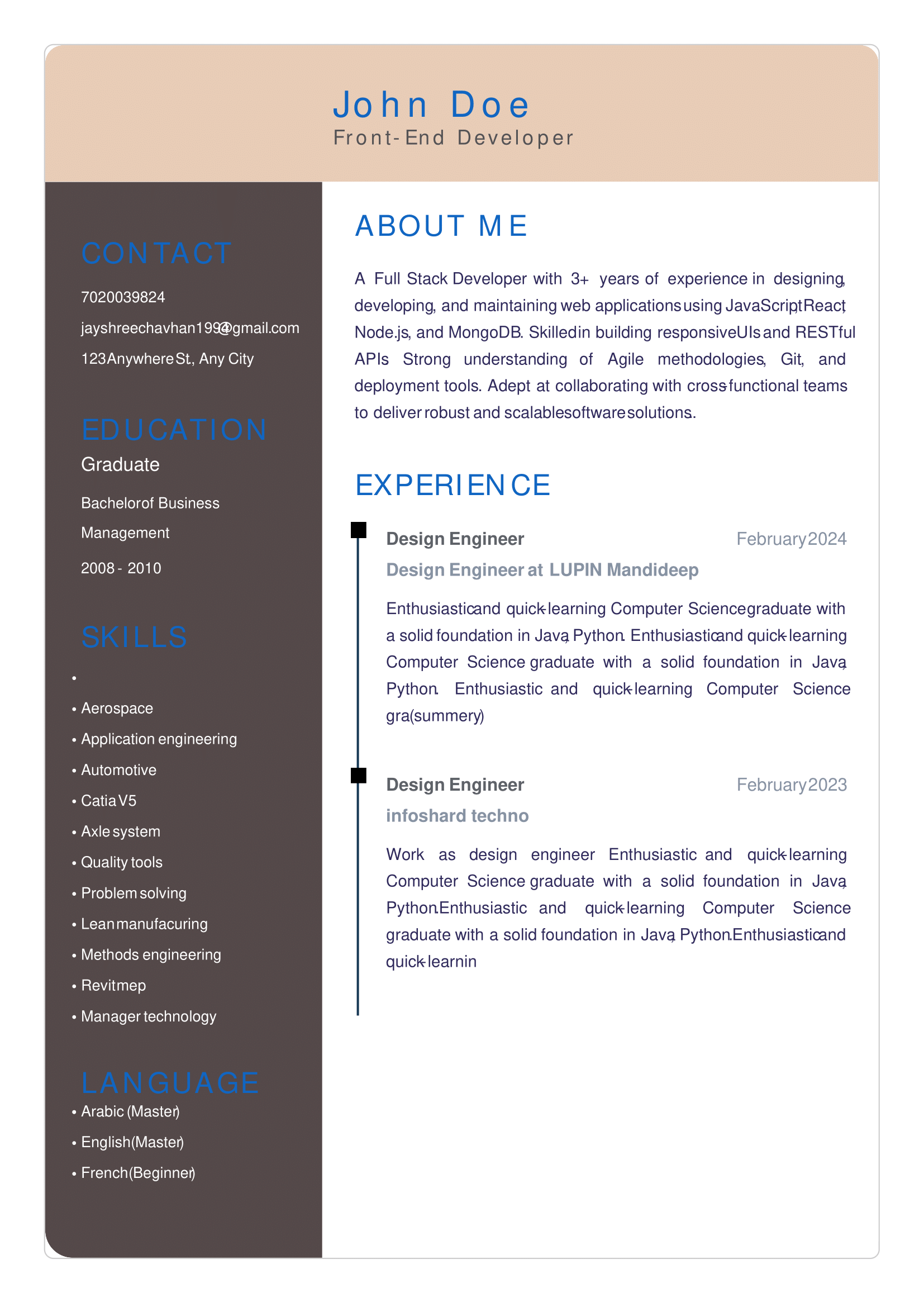 Resume Preview 3