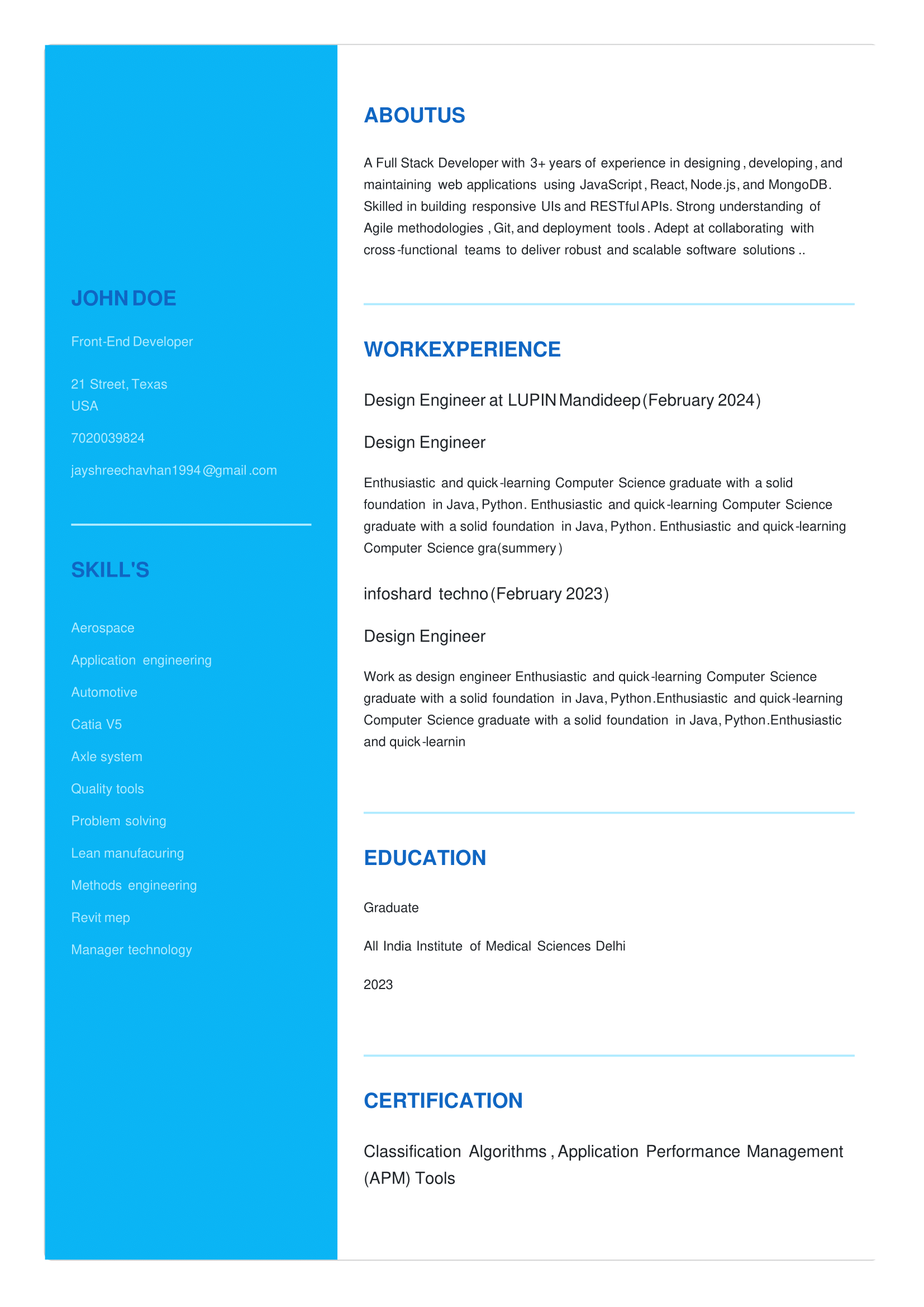 Resume Preview 5